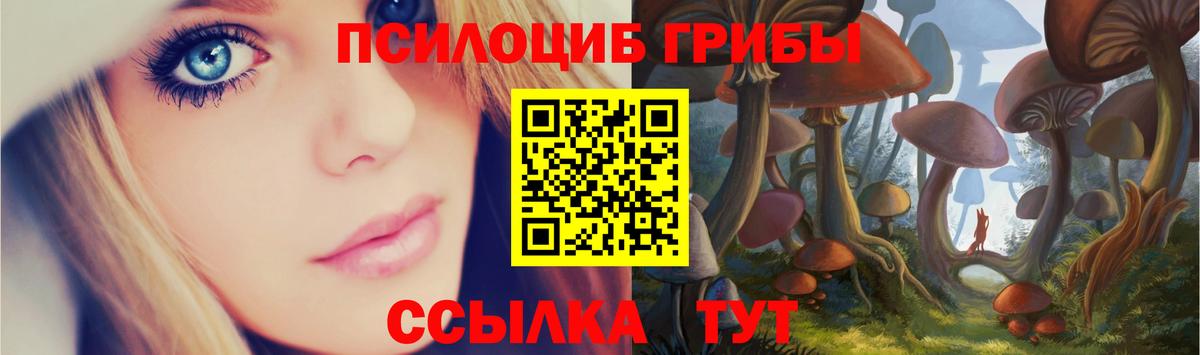 Сочи  Галлюциногенные грибы прущие грибы  Вход с VPN 